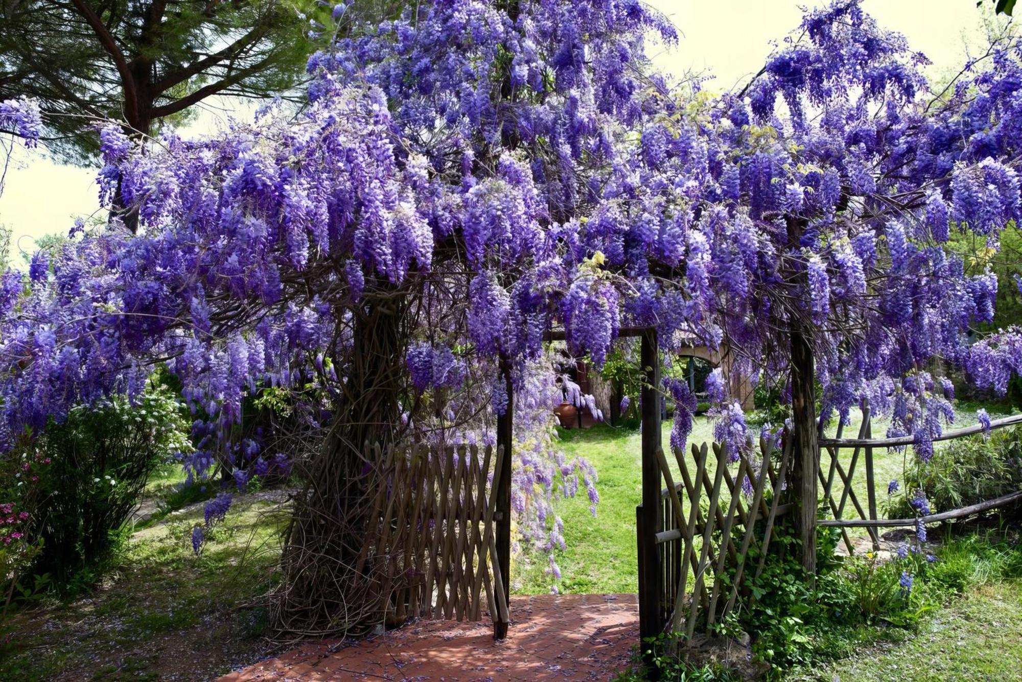 메르카탈레 발 디 페사 Molino In Chianti 빌라 외부 사진